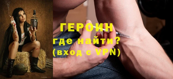 индика Богданович