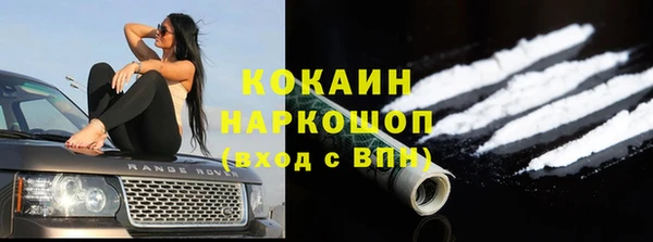 сатива Богородск