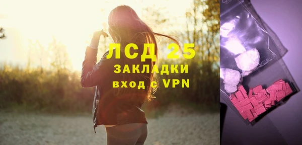 индика Богданович
