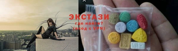 индика Богданович