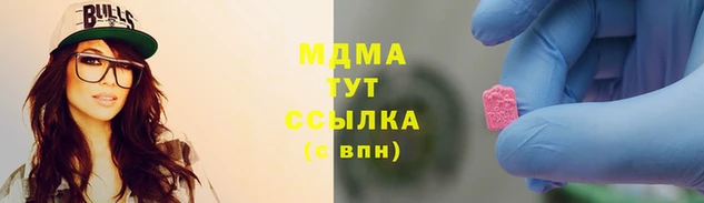 индика Богданович