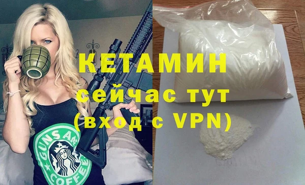 индика Богданович