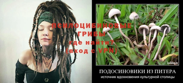a pvp Богородицк